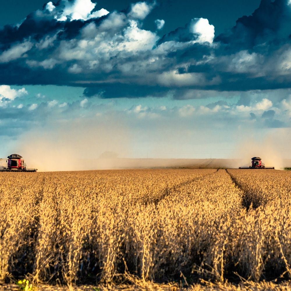 O Impacto da Recuperação Judicial no Agronegócio Brasileiro: Um Panorama Detalhado